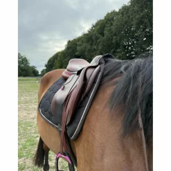 CWD Selles Mixtes>SELLE SE02 2021