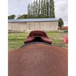 CWD Selles Mixtes><noscript><img width=