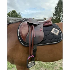 CWD Selles Mixtes><noscript><img width=