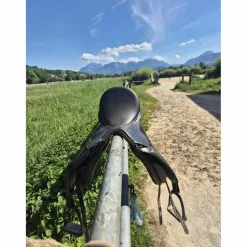 Selle de dressage*Waldhausen Online