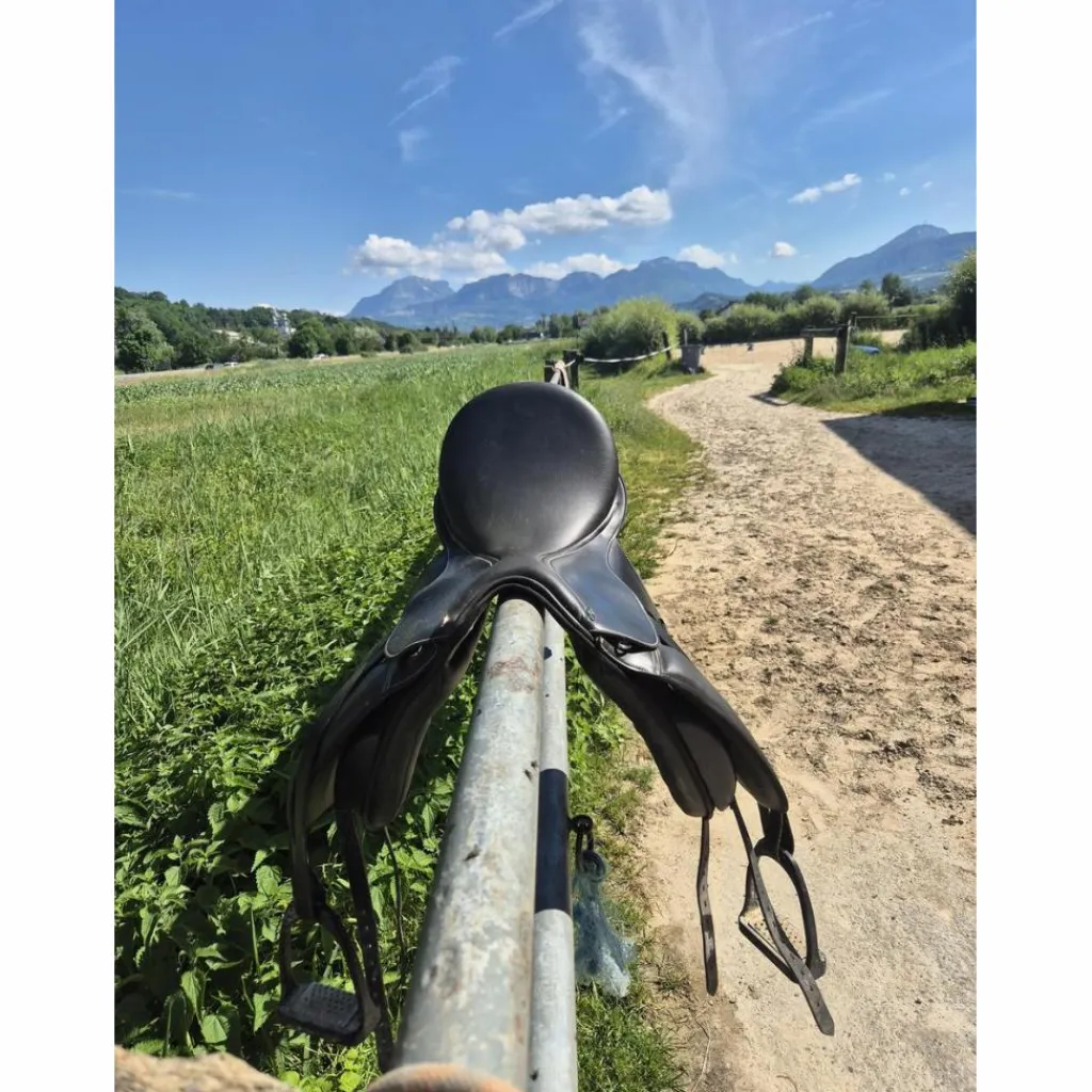 Selle de dressage*Waldhausen Online