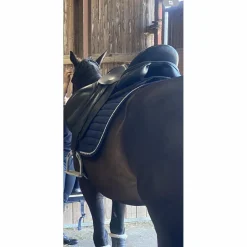 Bliss of London Selles De Dressage><noscript><img width=