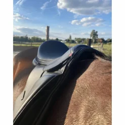 Waldhausen Selles De Dressage><noscript><img width=