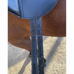 Waldhausen Selles De Dressage><noscript><img width=