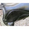 Equipe Selles De Dressage>Selle de dressage