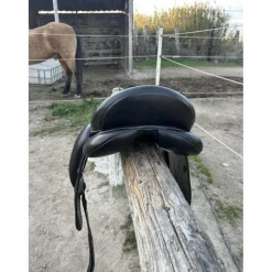 Eric Thomas Selles De Dressage><noscript><img width=