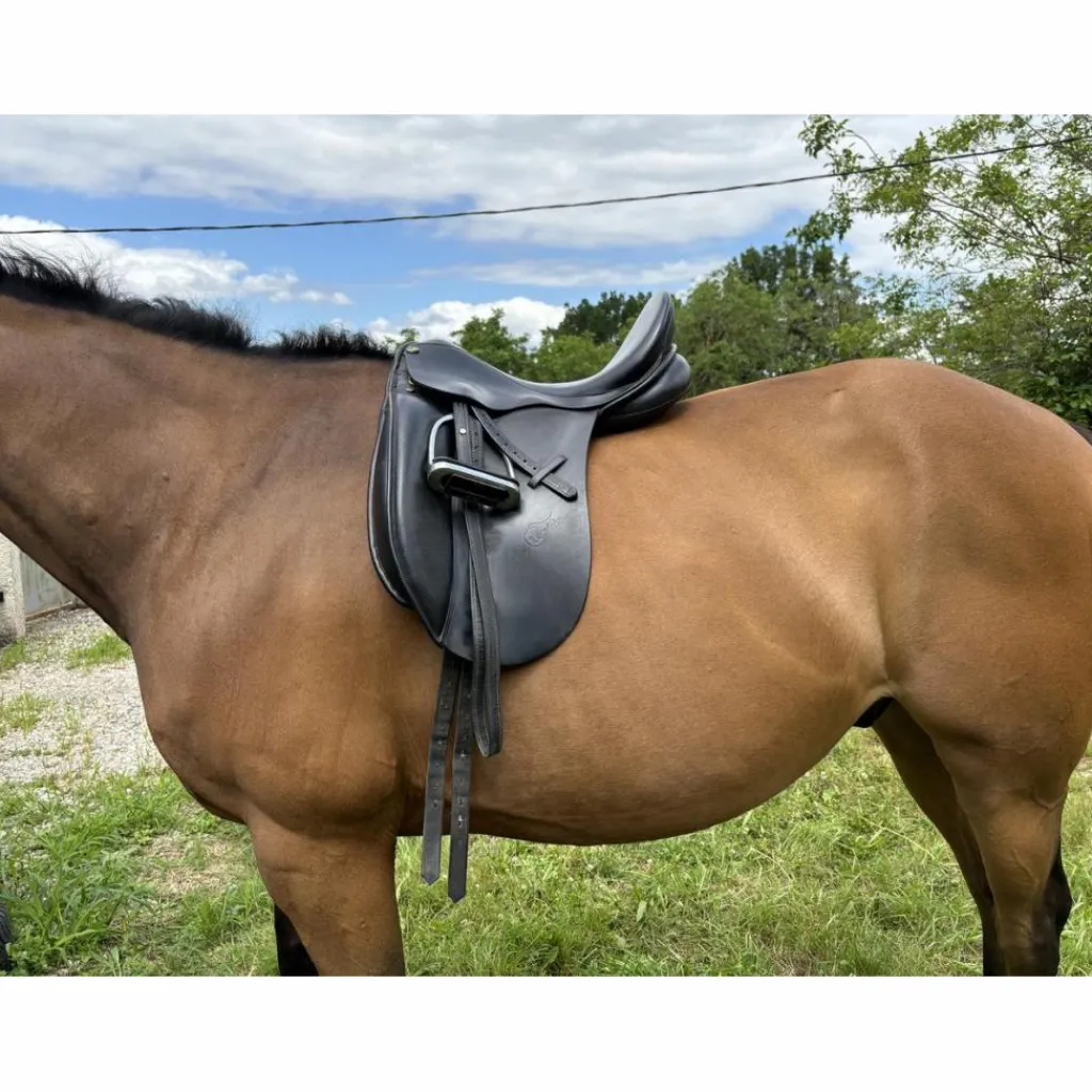 Selle de dressage 17,5*Lexhis Outlet
