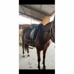 Selle de dressage Éric Thomas*Eric Thomas Hot