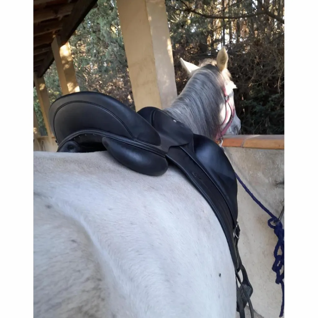 Selle de dressage*Antares Sale