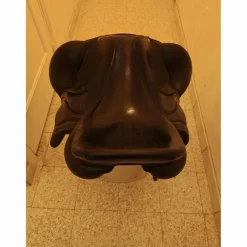 Antares Selles De Dressage><noscript><img width=