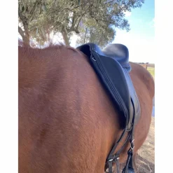 Antares Selles De Dressage>selle de dressage Cadence
