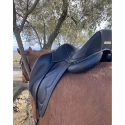 Antares Selles De Dressage><noscript><img width=