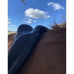 Antares Selles De Dressage><noscript><img width=