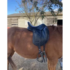 Antares Selles De Dressage><noscript><img width=