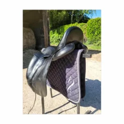Antares Selles De Dressage>selle de dressage Antarès