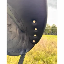 Antares Selles De Dressage><noscript><img width=
