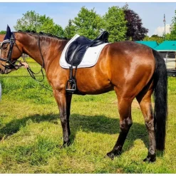 Selle de dressage Loreak – 2017 – 17,5" / Quartiers 3A – Très bon état*Devoucoux Sale