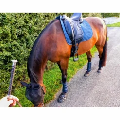 Selle de dressage Loreak – 2017 – 17,5