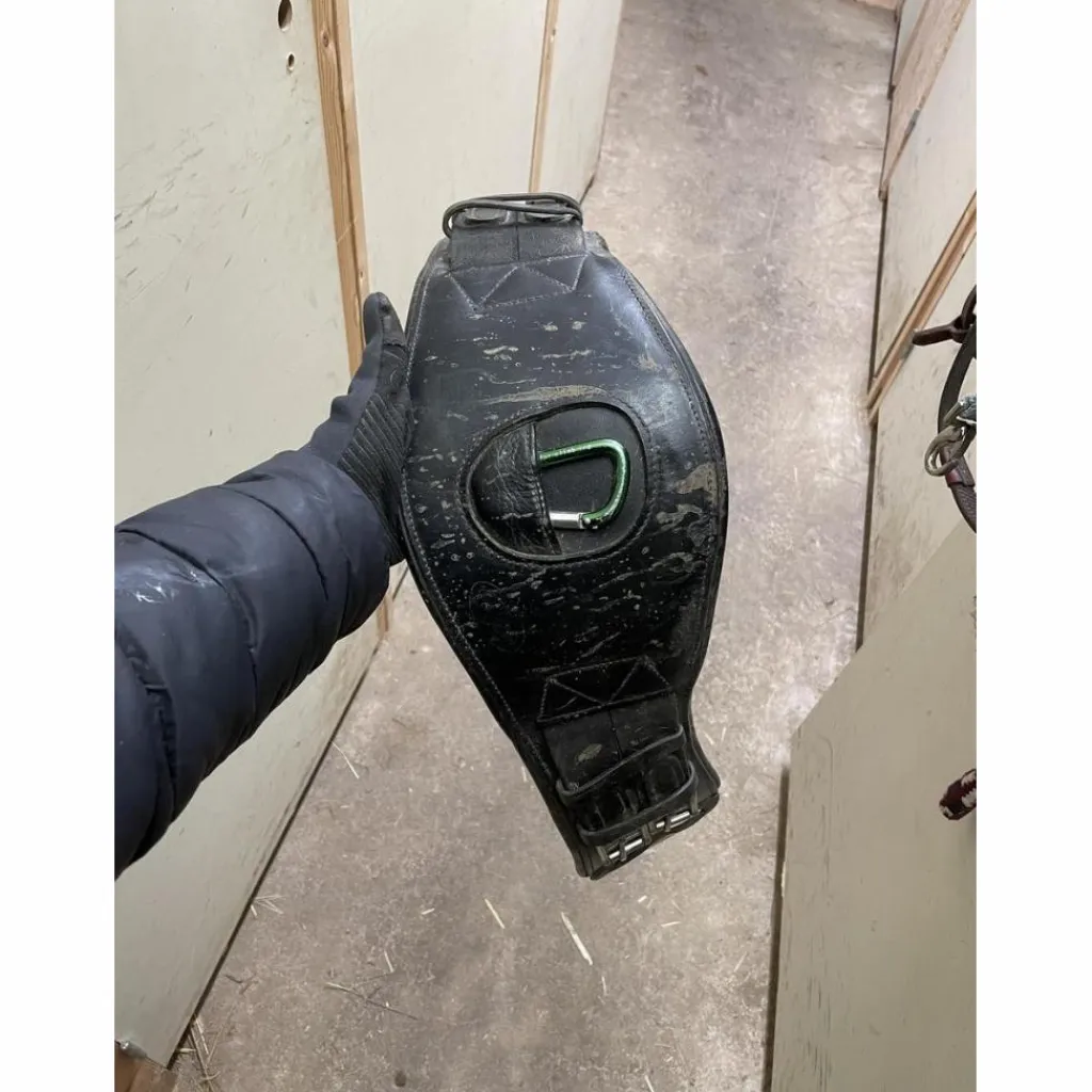 Devoucoux Selles De Dressage>Selle de dressage