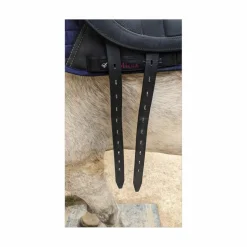 Equipe Selles De Dressage><noscript><img width=