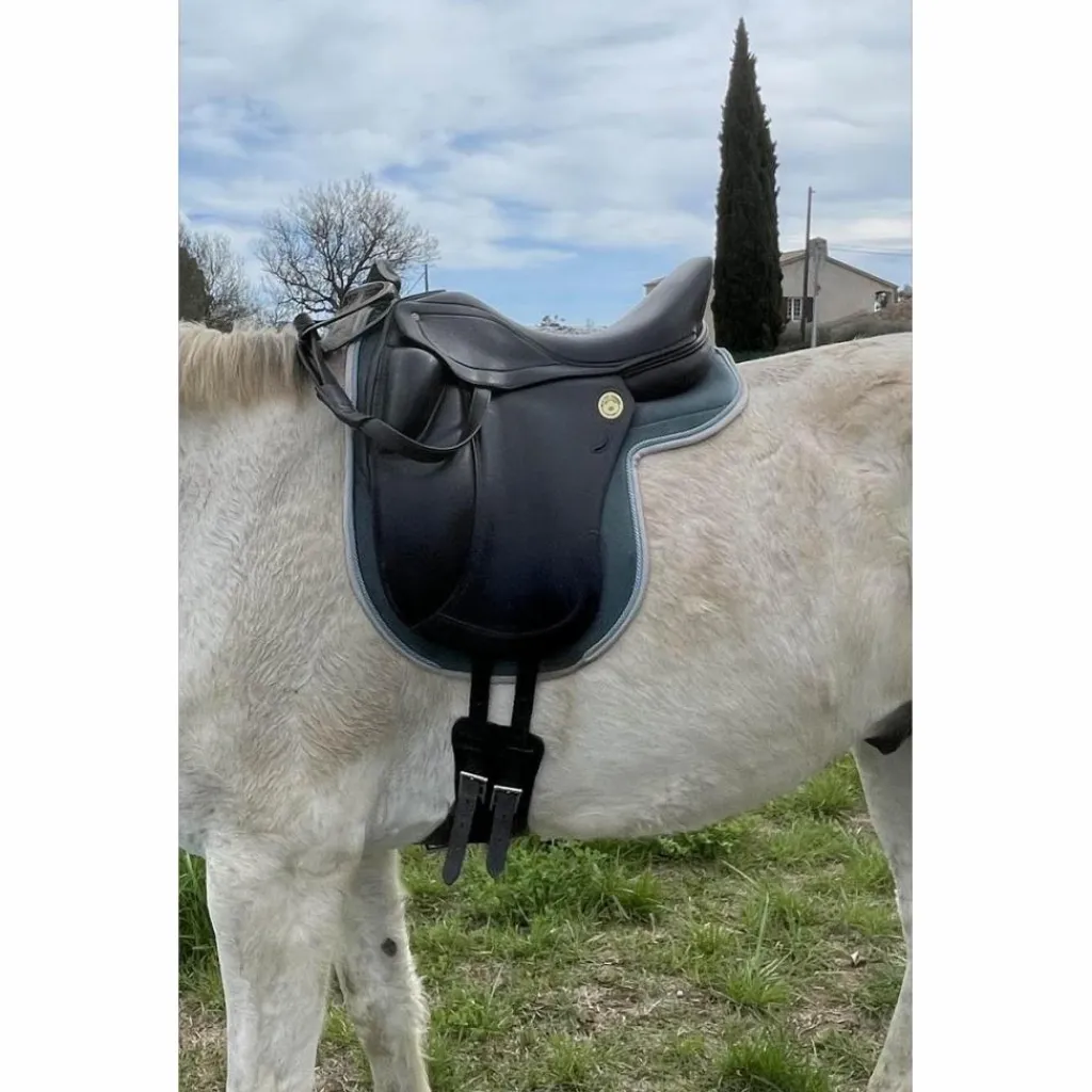 Jean-Luc Maurel Selles De Dressage>Selle de dressage