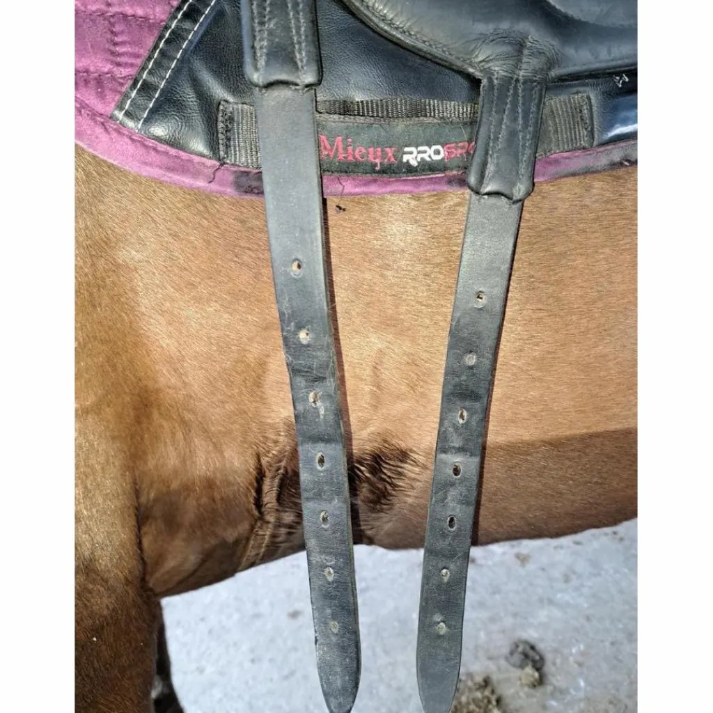 Selle de dressage Makila*Devoucoux Clearance