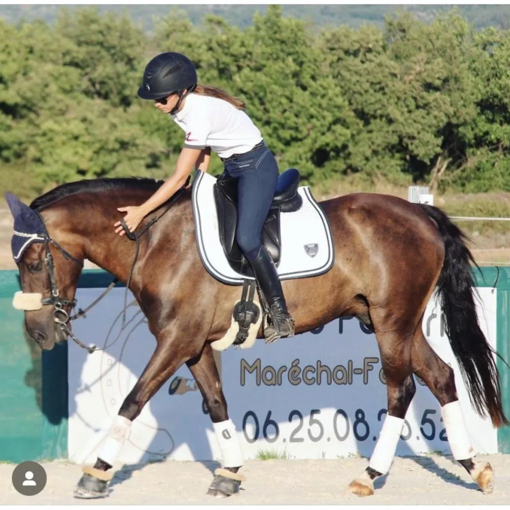 Selle de dressage monoquartier noire 16,5*- Marque inconnue - Sale