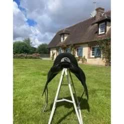 Childeric Selles De Dressage><noscript><img width=