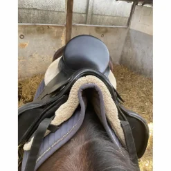 Passier Selles De Dressage><noscript><img width=