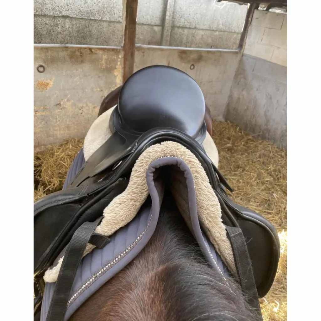 Passier Selles De Dressage>selle de dressage 17’