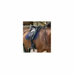 Eric Thomas Selles De Dressage><noscript><img width=