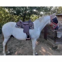 Sellerie Baude Selles De Randonnée><noscript><img width=