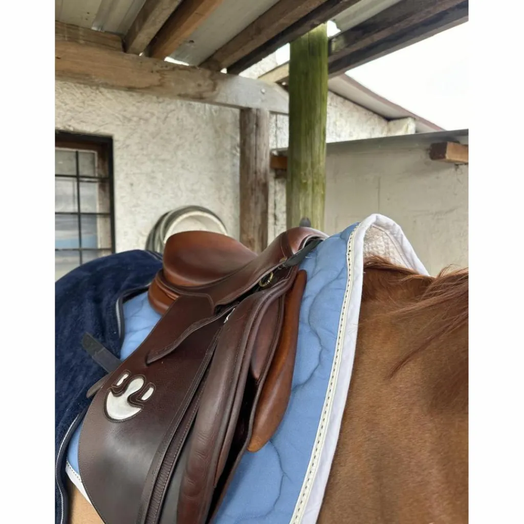 Selle*Delgrange Discount