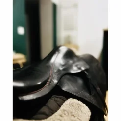 Childeric Selles De Cross><noscript><img width=