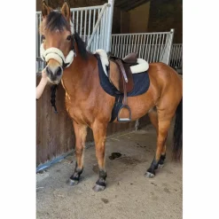 - Marque inconnue - Selles Mixtes>selle d’equitation 16,5"