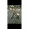 Selle 17.5*Devoucoux Outlet