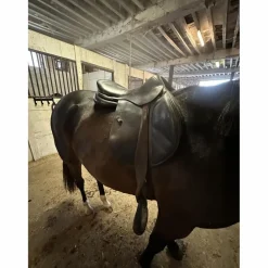Devoucoux Selles D'Obstacle><noscript><img width=