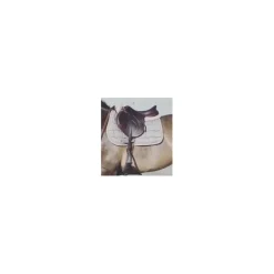 Selle Biarritz 0*Devoucoux Hot