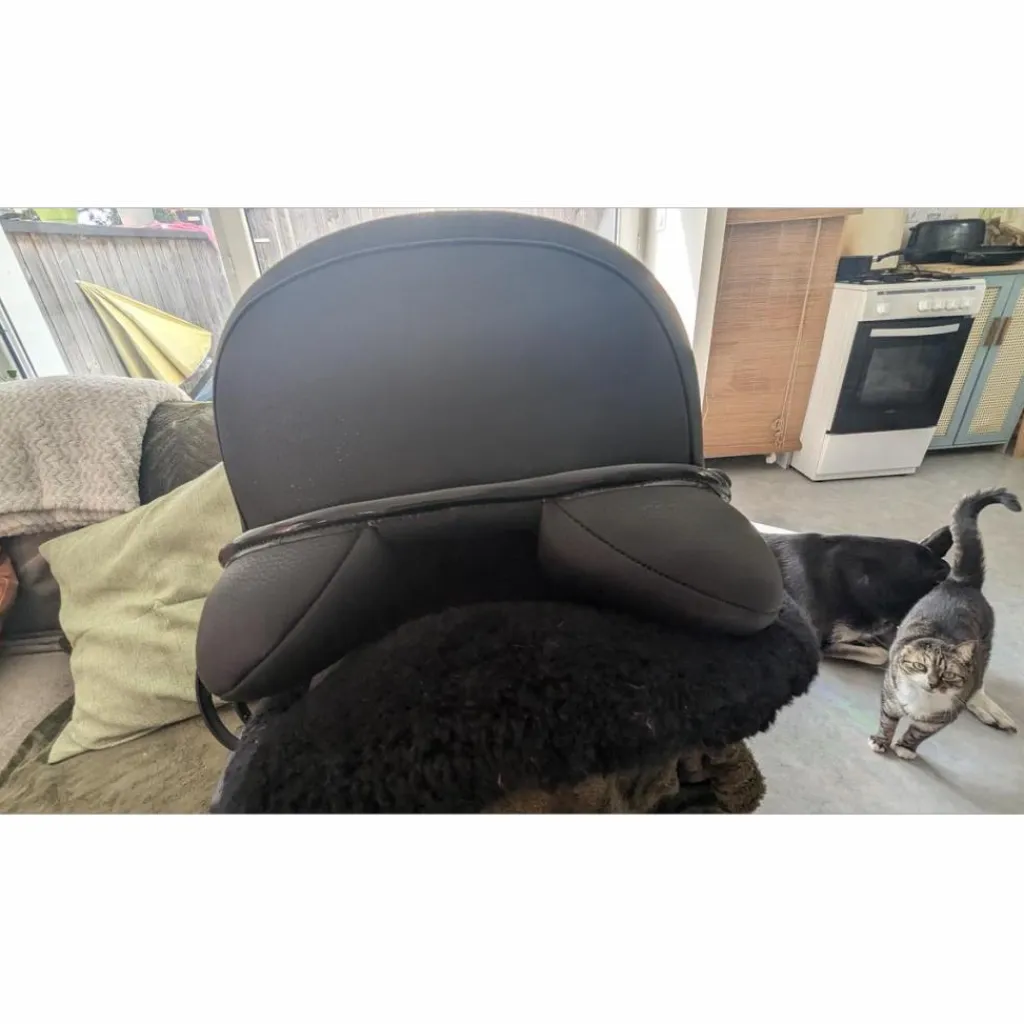 Selle dressage*Norton Best
