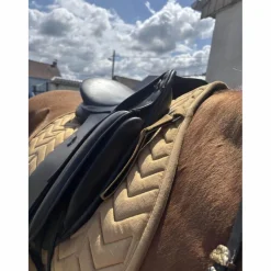 Henri de Rivel Selles De Dressage><noscript><img width=
