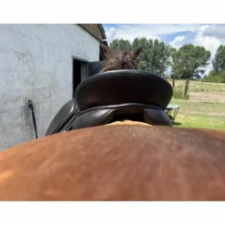Henri de Rivel Selles De Dressage><noscript><img width=