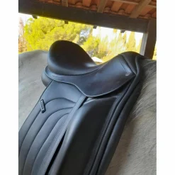 Antares Selles De Dressage><noscript><img width=