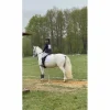Eric Thomas Selles De Dressage>Selle dressage 17 pouces