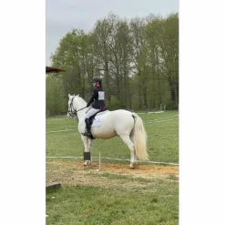 Eric Thomas Selles De Dressage>Selle dressage 17 pouces