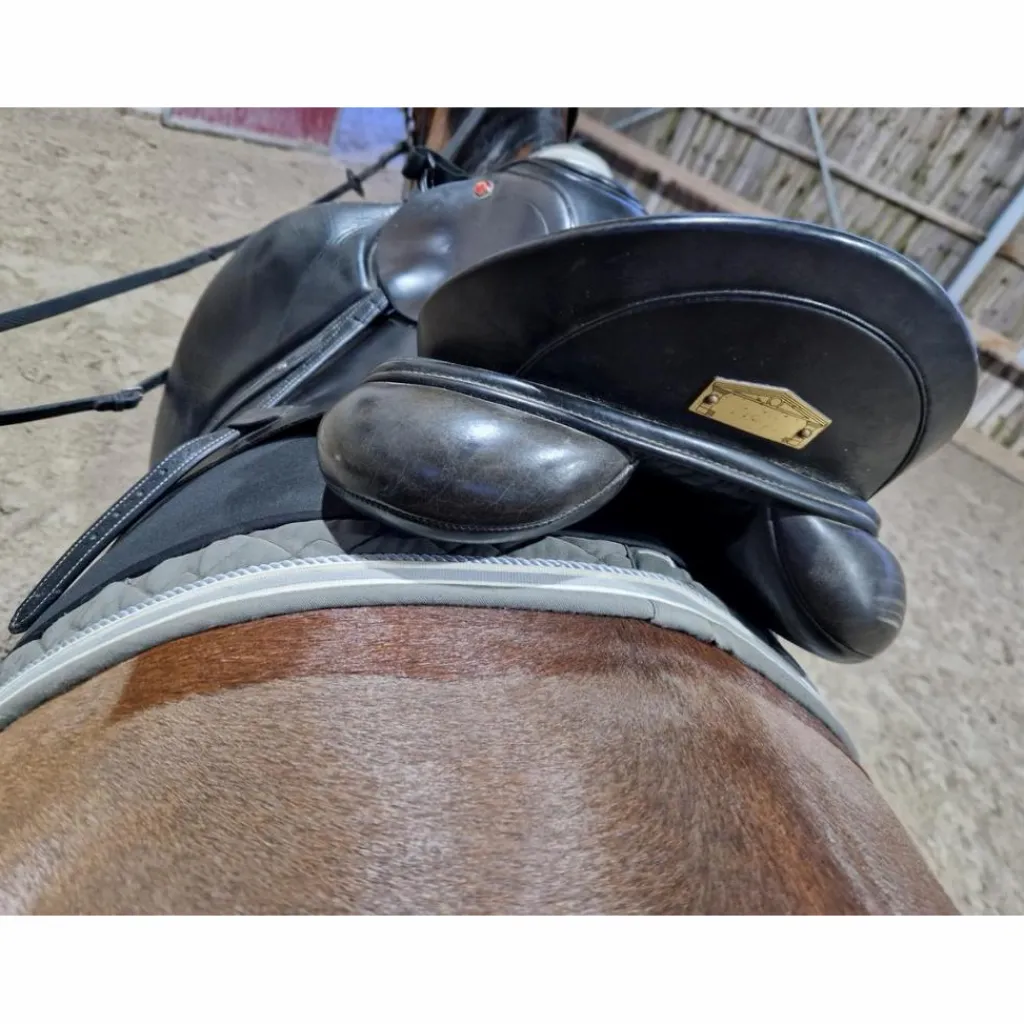 Albion Selles De Dressage>Selle dressage