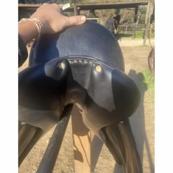 Antares Selles De Dressage><noscript><img width=