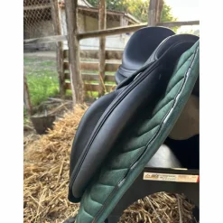 Antares Selles De Dressage><noscript><img width=