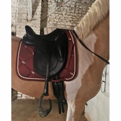 Antares Selles De Dressage><noscript><img width=