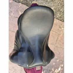 Antares Selles De Dressage><noscript><img width=