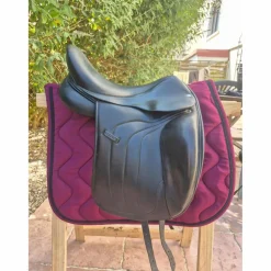 Antares Selles De Dressage><noscript><img width=